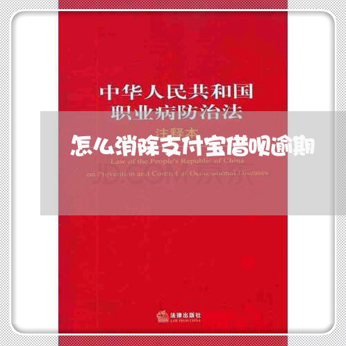 怎么消除支付宝借呗逾期/2023030172504 怎么消除支付宝借呗逾期/2023030172504