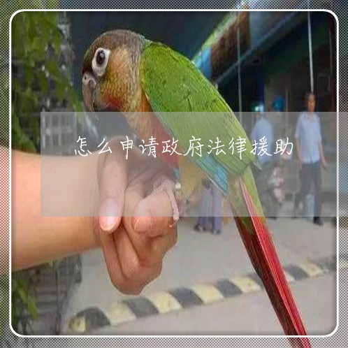 怎么申请政府法律援助 怎么申请政府法律援助