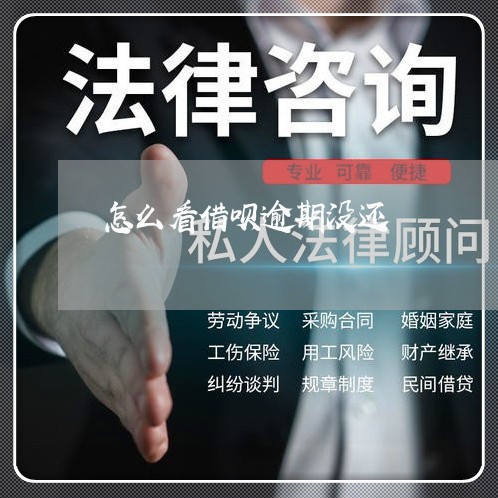 怎么看借呗逾期没还