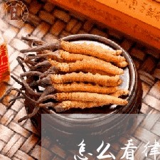 怎么看律师有没有案件信息/2023060236059