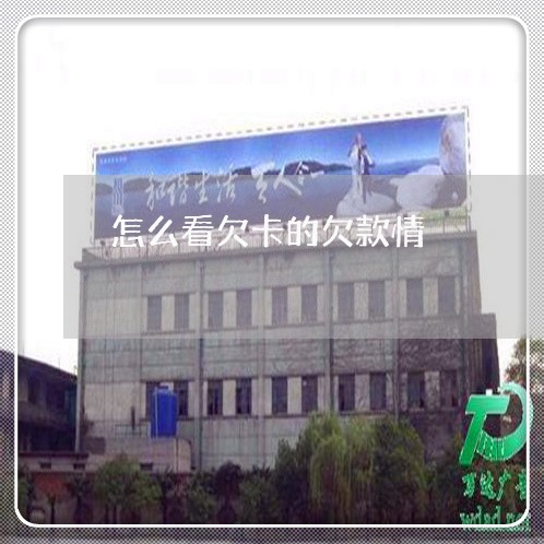 怎么看欠卡的欠款情