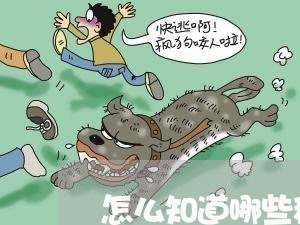 怎么知道哪些税逾期没有申报