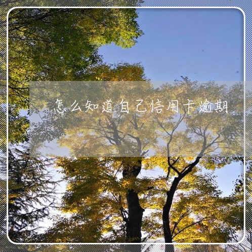 怎么知道自己信用卡逾期 怎么知道自己信用卡逾期