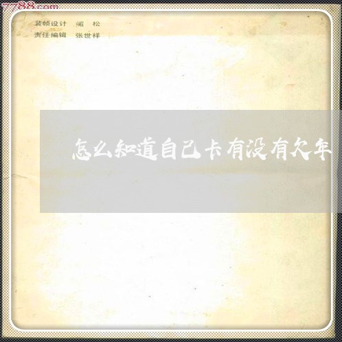 怎么知道自己卡有没有欠年