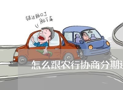 怎么跟农行协商分期还款/2023110972936