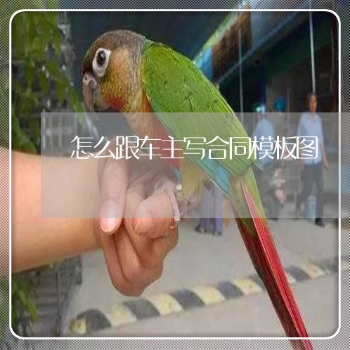怎么跟车主写合同模板图/2023041318149 怎么跟车主写合同模板图/2023041318149