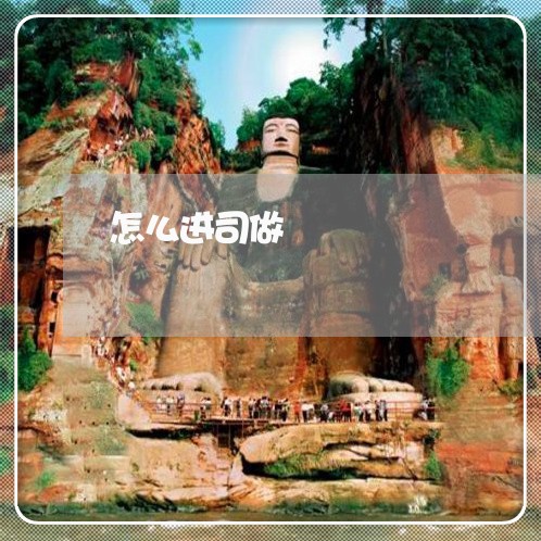 怎么进司做