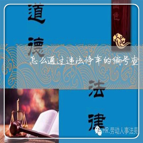 怎么通过违法停车的编号查