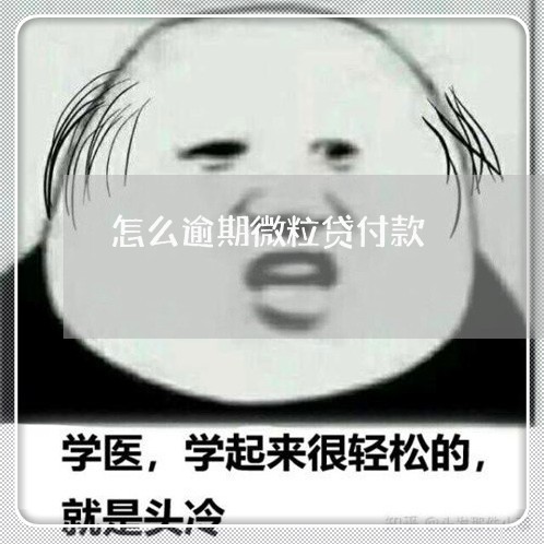 怎么逾期微粒贷付款