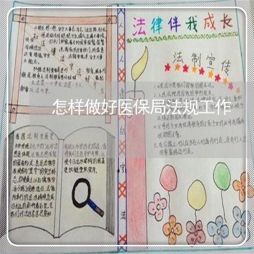 怎样做好医保局法规工作