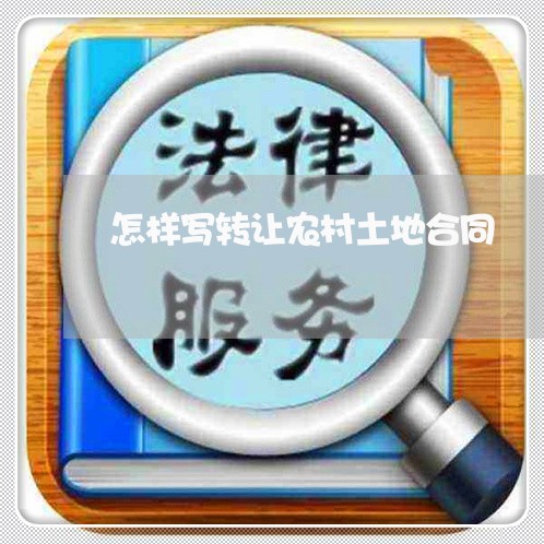 怎样写转让农村土地合同/2023041361604