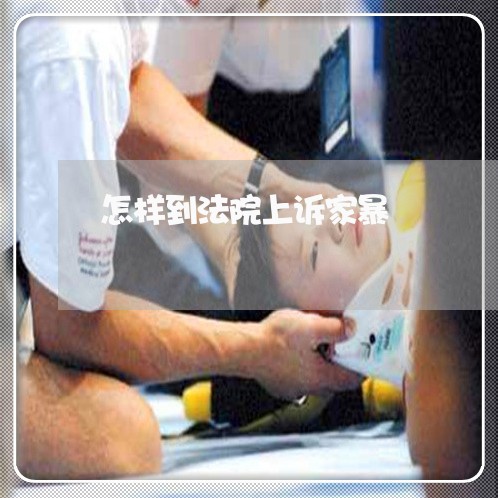 怎样到法院上诉家暴