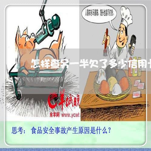 怎样查另一半欠了多少信用卡