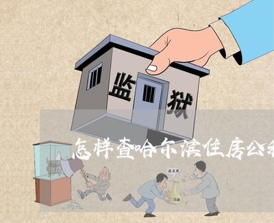 怎样查哈尔滨住房公积金逾期