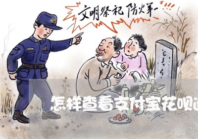 怎样查看支付宝花呗逾期/2023030158369 怎样查看支付宝花呗逾期/2023030158369