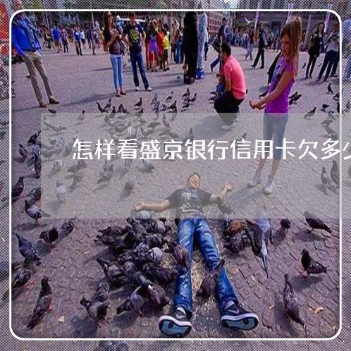 怎样看盛京银行信用卡欠多少钱