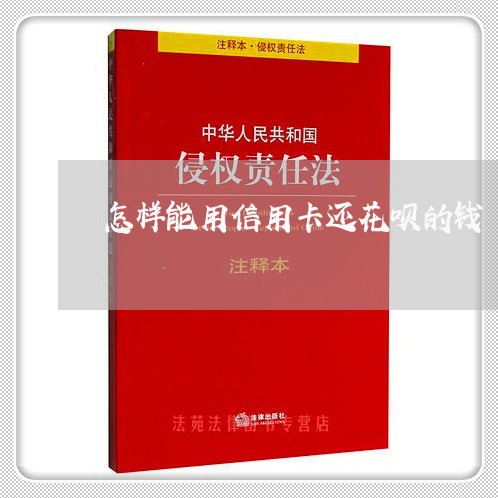 怎样能用信用卡还花呗的钱/2023100675137