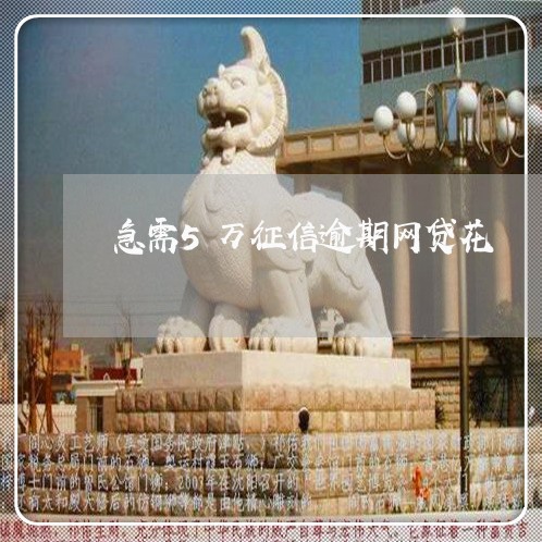 急需5万征信逾期网贷花