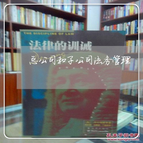 总公司和子公司法务管理