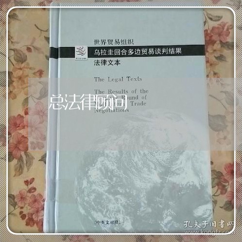总法律顾问/2023061676061 总法律顾问/2023061676061