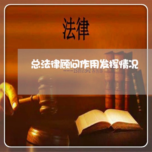 总法律顾问作用发挥情况/2023061870504