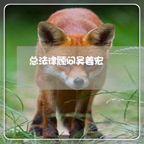 总法律顾问吴姜宏/2023061859372