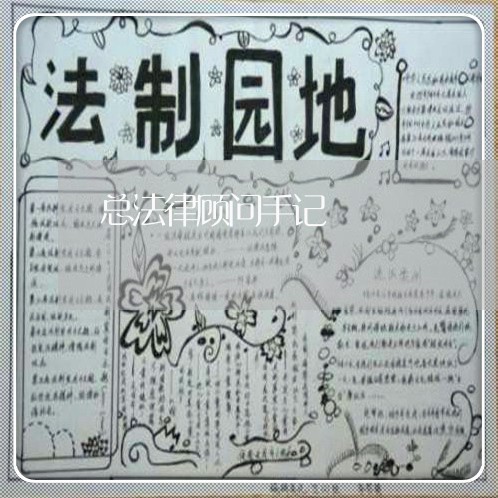 总法律顾问手记 总法律顾问手记