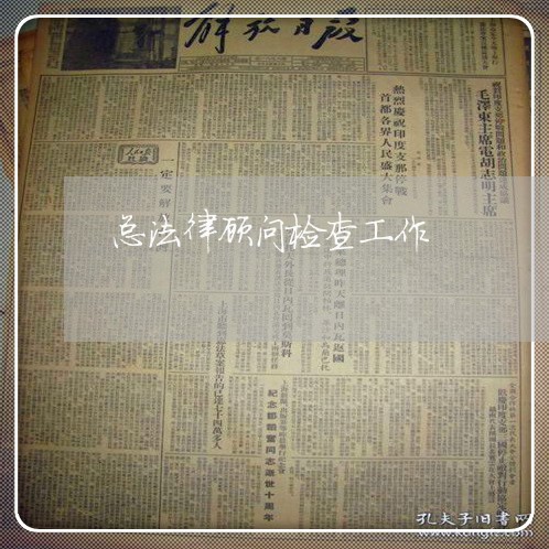 总法律顾问检查工作/2023061817259