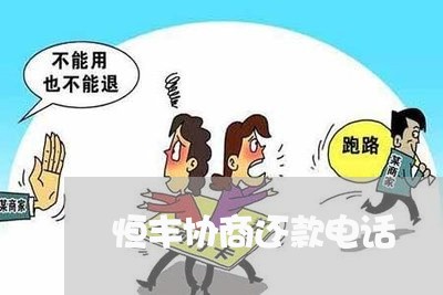 恒丰协商还款电话/2023110740681