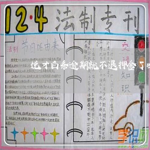 悦才白条逾期就不退押金了吗 悦才白条逾期就不退押金了吗