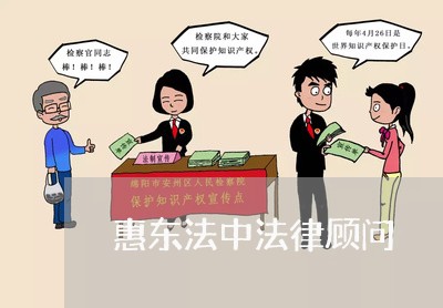 惠东法中法律顾问/2023061750362