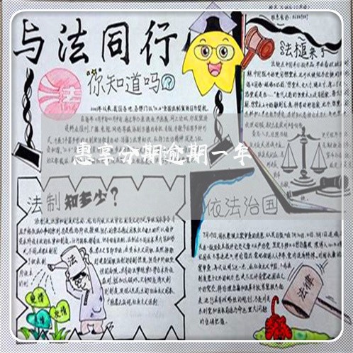 惠享分期逾期一年 惠享分期逾期一年