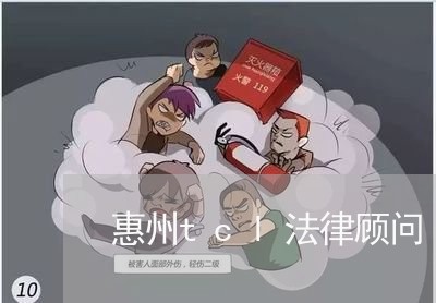 惠州tcl法律顾问/2023061714936