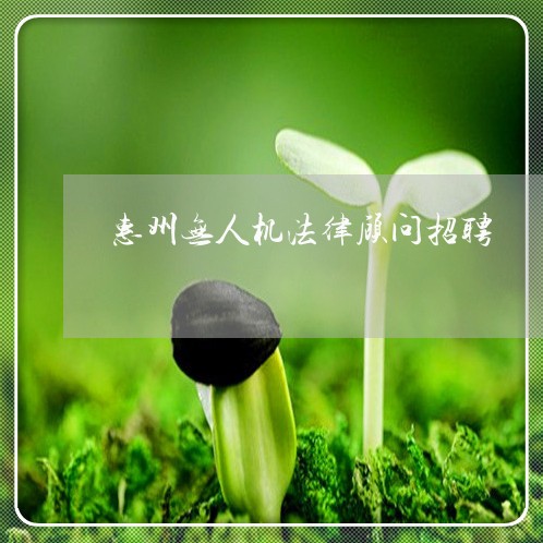 惠州无人机法律顾问招聘 惠州无人机法律顾问招聘