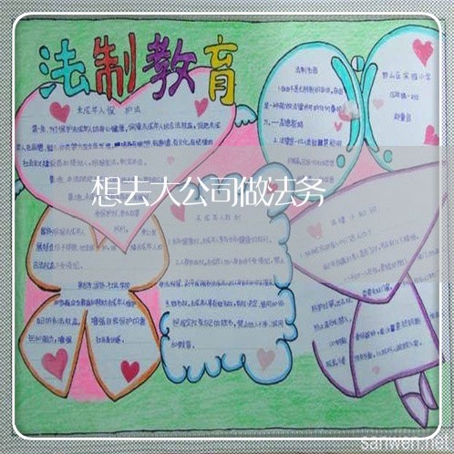 想去大公司做法务 想去大公司做法务