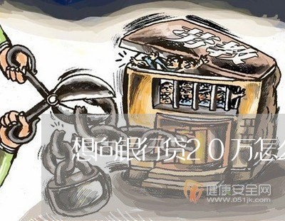 想向银行贷20万怎么办/2023100850514