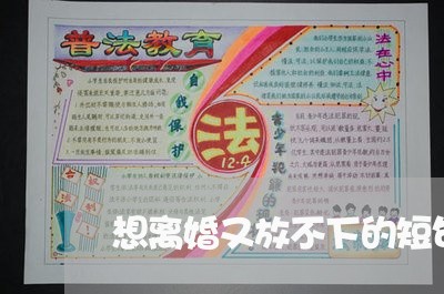 想离婚又放不下的短句说说 想离婚又放不下的短句说说