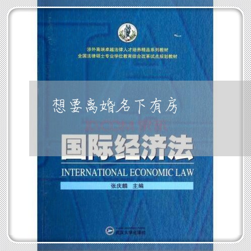 想要离婚名下有房/2023042358581 想要离婚名下有房/2023042358581