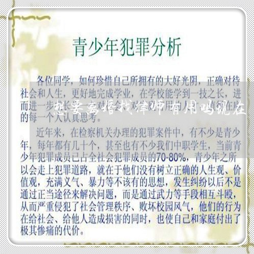 想要离婚找律师有用吗现在/2023060918072