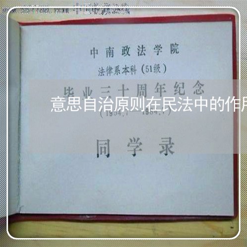 意思自治原则在民法中的作用 意思自治原则在民法中的作用