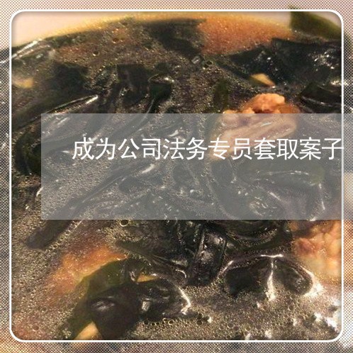 成为公司法务专员套取案子 成为公司法务专员套取案子