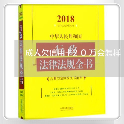 成人欠信用卡20万会怎样 成人欠信用卡20万会怎样