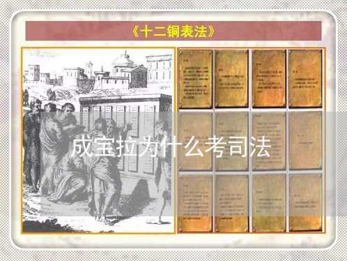 成宝拉为什么考司法