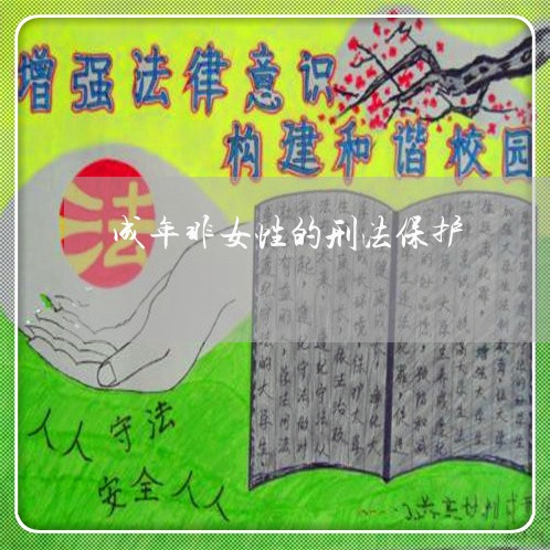 成年非女性的刑法保护 成年非女性的刑法保护