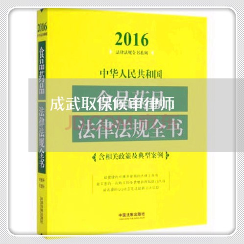 成武取保候审律师 成武取保候审律师