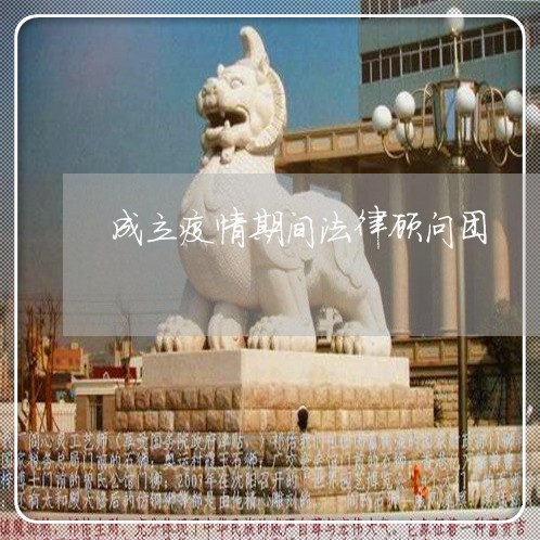 成立疫情期间法律顾问团/2023061826137