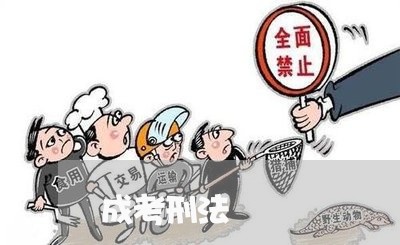 成考刑法