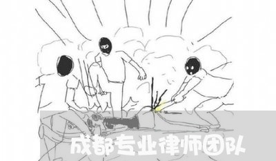 成都专业律师团队