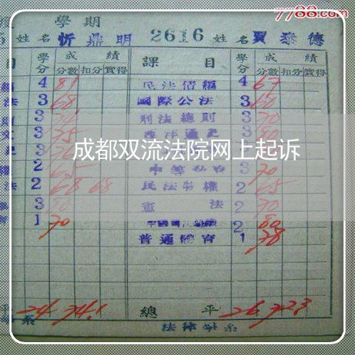 成都双流法院网上起诉 成都双流法院网上起诉