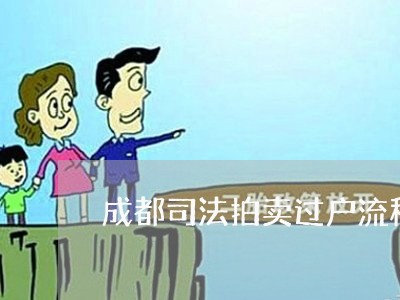 成都司法拍卖过户流程图